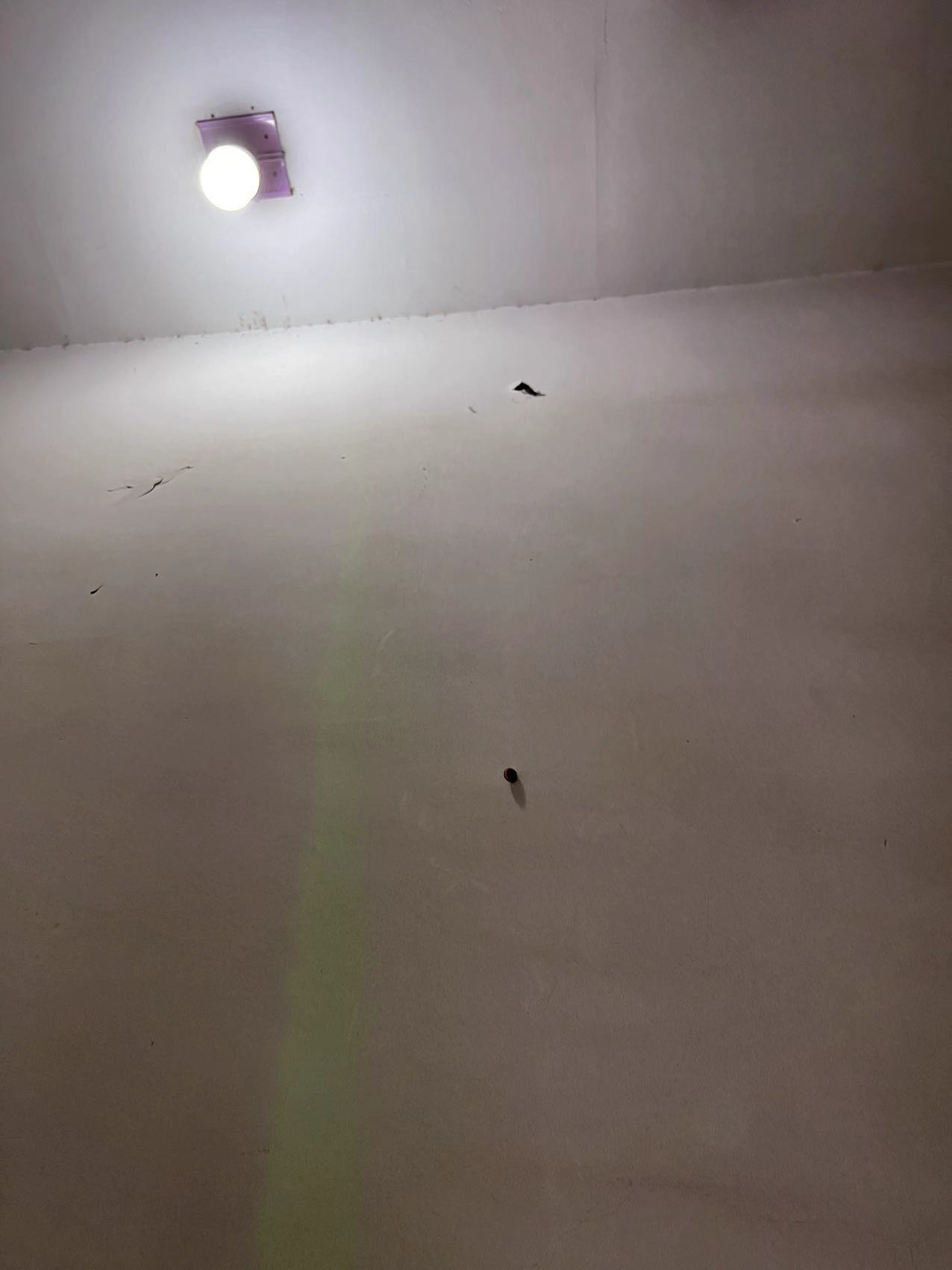 电梯上方的墙壁上的一只蜗牛